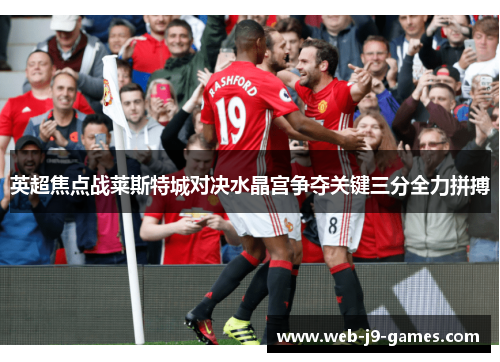 英超焦点战莱斯特城对决水晶宫争夺关键三分全力拼搏
