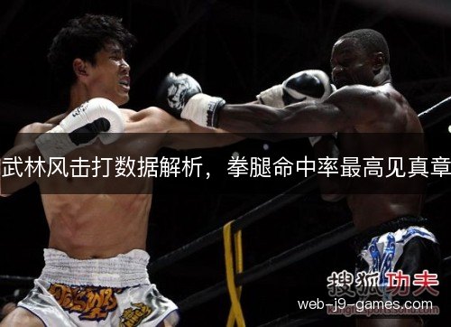 武林风击打数据解析,拳腿命中率最高见真章 武林风击打数据解析,拳腿命中率最高见真章
